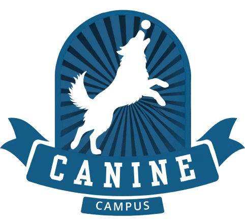 Canine Campus